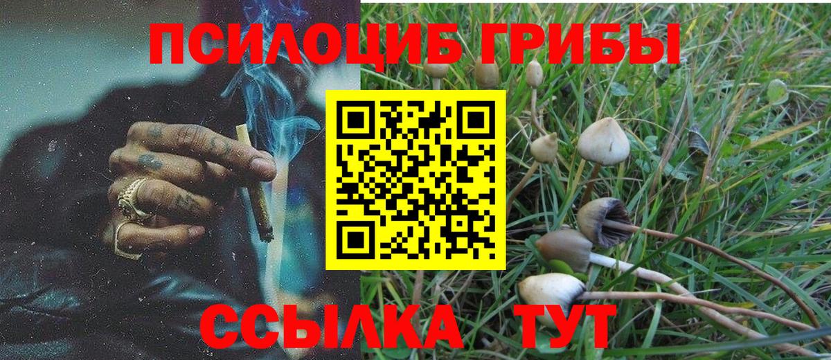 Псилоцибиновые грибы мицелий  Вход с VPN  продажа наркотиков  Богородицк 