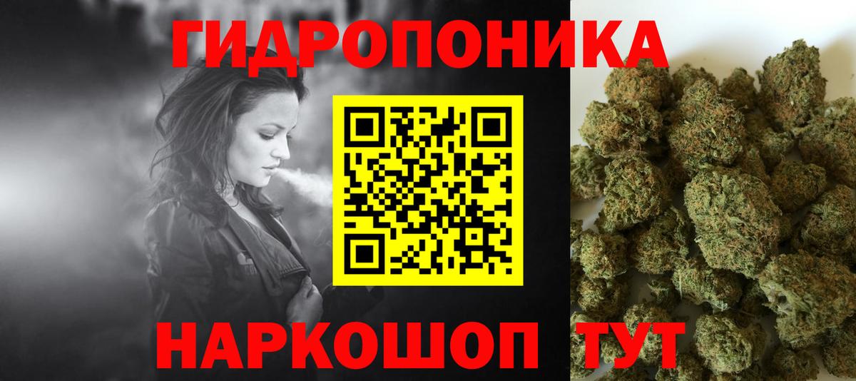 Шишки марихуана Amnesia Богородицк